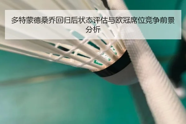 多特蒙德桑乔回归后状态评估与欧冠席位竞争前景分析
